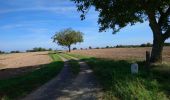 Tour Wandern Candes-Saint-Martin - Candes-Saint-Martin - Montsoreau GR3 - 9.6km 140m 2h25 (40mn) - 2023 10 01 - Photo 16