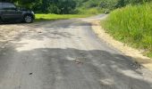 Tocht Trail Sainte-Anne - Ste Anne  - Photo 2