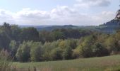 Trail Walking Marche-en-Famenne - Champlon - Boucle qui alterne sous-bois et vues dégagées à 360°. Larges sentiers caillouteux et un peu de macadam.  - Photo 4