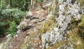 Trail Walking Trois-Ponts - 3ponts - Photo 19