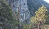 Trail Walking Fillière - plateau des Gliéres par le pas du Roc - Photo 9
