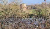 Tour Wandern Moselbrück - Pont A Mousson les étangs depuis le port fluvial - Photo 20