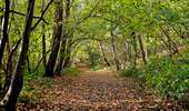 Trail Walking Honnelles - La promenade du Caillou qui Bique - Photo 8