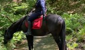 Trail Equestrian Houyet - PatFab 020918 - Photo 1