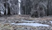 Tocht Stappen Theux - dans le givre de Crambon  - Photo 6