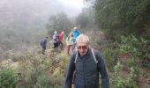 Excursión Senderismo Le Muy - ROQUEBRUNE-Les deux frères, l'ermite- MBO - Photo 5