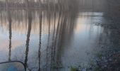 Randonnée Quad Les Avenières Veyrins-Thuellin - inondation - Photo 1