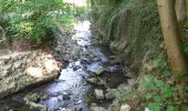 Trail Walking Trooz - Gare Trooz Le Péry La Lonhienne - Photo 11