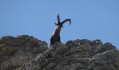 Randonnée Marche Gresse-en-Vercors - 2018-07-23 Rando Vercors De Gresse à Richardière_23km_970mPos_1130mNeg - Photo 1