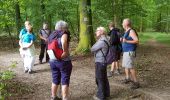 Randonnée Marche Ventes-Saint-Rémy - Forêt d'Eawy rando douce - Photo 14