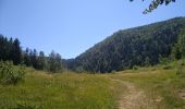 Tour Wandern Storckensohn - Storckensohn Gazon Vert - Photo 20