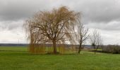 Randonnée Marche Nivelles - Monstreux 21 km - Photo 13