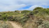 Trail Walking Condette - Dunes d’Ecault depuis le château d’Hardelot - Photo 9