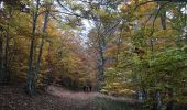 Tocht Stappen Cruis - Jas Neuf, Jas pierrefeu et Jas Roche - Photo 3