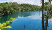 Tour Wandern Incourt - Promenade du moulin  - Photo 11