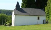 Percorso A piedi Herbeumont - Haut Chenois - Chateau Fort Herbeumont - Photo 2