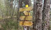 Trail Walking Nant - Nant-Causse Begon-St Jean du Bruel - Photo 6