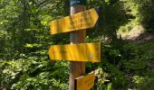 Trail Walking Trescléoux - Trescloux le Suillet - Photo 4