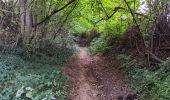 Tocht Stappen Comblain-au-Pont - oneux . comblain-la-tour . oneux - Photo 16