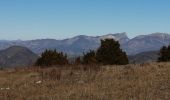 Tour Wandern Roche-Saint-Secret-Béconne - le rocher des Aures  - Photo 5