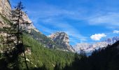 Tocht Stappen Cortina d'Ampezzo - DOLOMITES 02 - Refugio Pederü - Photo 12