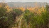 Percorso Equitazione Neufchâteau - Bois de la Fosse - Photo 2