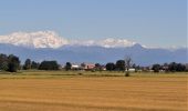 Tour Wandern Vercelli - CR_Francigena_BA_12_Verceil_Robbio_20190909 - Photo 1