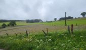 Trail Walking Gedinne - Vencimont 050624 - Photo 6