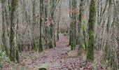 Tocht Stappen Vianden - Les panoramas de Vianden  - Photo 3