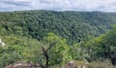 Excursión Senderismo Les Planches-près-Arbois - Cascades des Tufs et environs et plateau points de vue - Photo 10