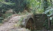 Tour Zu Fuß Bagnols-en-Forêt - La forêt Royale Bagnols-en-Forêt - Photo 1