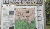 Tour Wandern Montpeyroux - Montpeyroux Arboras le Castellas - Photo 4