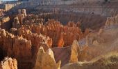 Tocht Stappen Unknown - 2024 Bryce Canyon Rim Trail - Photo 4