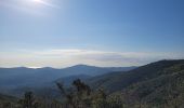 Randonnée Marche Roquebrune-sur-Argens - Massif flute - Photo 8