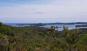 Tocht Stappen Tallone - Corse - Près d Aleria - Etang de Diane - Photo 3