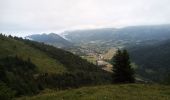 Randonnée Marche Gresse-en-Vercors - Le Grand Veymont - Photo 8