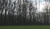 Tour Wandern Sentheim - Autour des quatres villages - Photo 3
