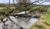 Randonnée Marche Oud-Heverlee - Sint Joris WEERT 14,9 Km  - Photo 3