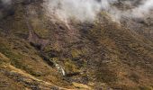 Tocht Te voet Unknown - Te Araroa - 04 Whanganui - a Tongariro Alpine Crossing - Photo 10