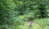 Randonnée Marche Étalle - Etalle - cani-balade - Photo 3