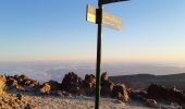 Trail Walking La Orotava - Canaries - Tenerife - Ascension du Teide - Photo 5
