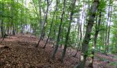 Tocht Te voet Tieschen - Naturbühne - Steinbruchweg - Photo 3