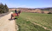 Trail Donkey back riding Livron-sur-Drôme - Abiche toundra - Photo 11
