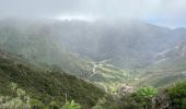 Tocht Stappen Buenavista del Norte - PR TF59 Mirador Cruz de Hilda -Masca  - Photo 3