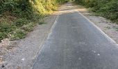 Percorso Bici da strada Mettet - Nouveau Ravel Ermetonsur Bierre - Photo 3