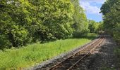Trail Walking Unknown - Ballade le long de la voie ferrée du train touristique de Caernarfon  - Photo 16