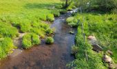 Tocht Stappen Nasbinals - live Nasbinals - Saint Chély  - Photo 7