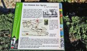 Trail Walking Jouy-en-Josas - SityTrail - GRP CV-IDF - Photo 7