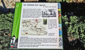 Tour Wandern Jouy-en-Josas - SityTrail - GRP CV-IDF - Photo 7