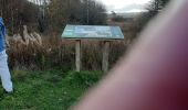 Trail Walking Vielsalm - SGR   PetitesTaillestr - Photo 6